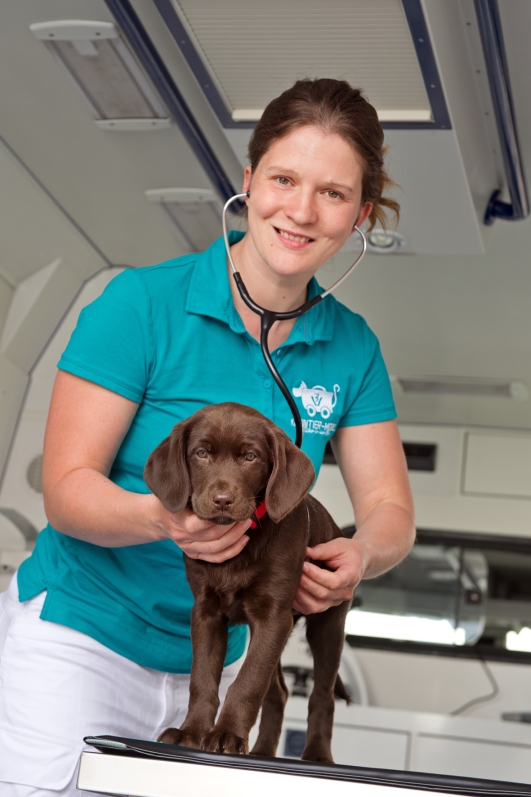 Tieraerztin Nadine Stein mit Patient